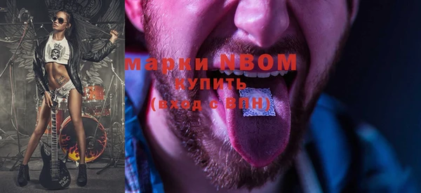 хмурый Алзамай