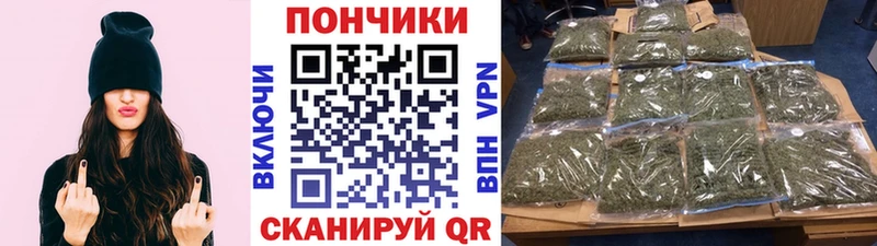 Каннабис семена  Лахденпохья 